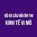 Bộ 65 câu hỏi ôn thi môn Kinh tế Vi mô