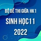 Bộ đề thi giữa HK1 môn Sinh Học 11 năm 2022-2023