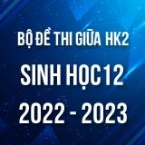 Bộ đề thi giữa HK2 môn Sinh học 12 năm 2022-2023