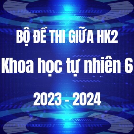 Bộ đề thi giữa HK2 môn Khoa học tự nhiên 6 năm 2023-2024