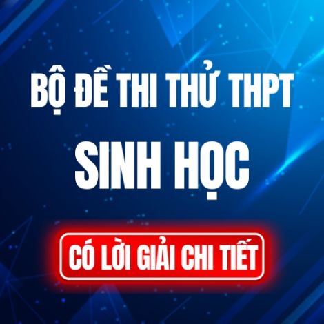Bộ đề thi thử Tốt nghiệp THPT môn Sinh học năm 2024