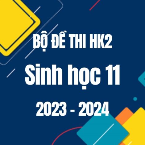 Bộ đề thi HK2 môn Sinh học 11 năm 2023-2024
