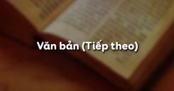 Văn bản (Tiếp theo)