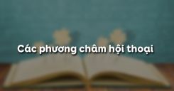 Các phương châm hội thoại