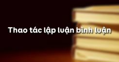 Thao tác lập luận bình luận