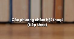 Các phương châm hội thoại (tiết 2)