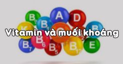 Bài 34: Vitamin và muối khoáng