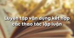 Luyện tập vận dụng kết hợp các thao tác lập luận