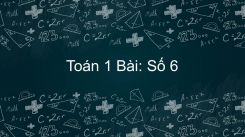 Số 6