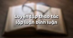 Luyện tập thao tác lập luận bình luận