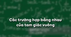 Bài 8: Các trường hợp bằng nhau của tam giác vuông
