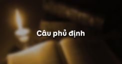 Câu phủ định