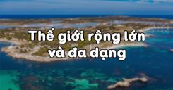 Bài 25: Thế giới rộng lớn và đa dạng