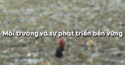 Bài 42: Môi trường và sự phát triển bền vững
