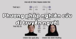 Bài 28: Phương pháp nghiên cứu di truyền người