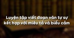 Luyện tập viết đoạn văn tự sự kết hợp với miêu tả và biểu cảm