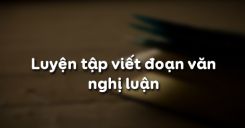 Luyện tập viết đoạn văn nghị luận