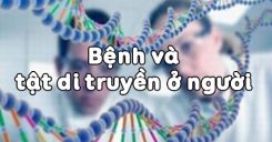 Bài 29: Bệnh và tật di truyền ở người