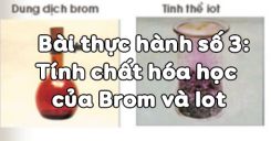Bài 28: Bài thực hành số 3 Tính chất hóa học của Brom và Iot