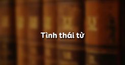 Tình thái từ