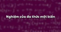 Bài 9: Nghiệm của đa thức một biến