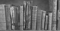 Bài 16: Ôn tập chương I và chương II