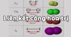 Bài 13: Liên kết cộng hóa trị