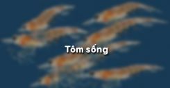 Bài 22: Tôm sông