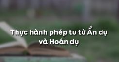 Thực hành phép tu từ Ẩn dụ và Hoán dụ