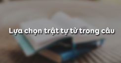 Lựa chọn trật tự từ trong câu