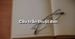 Soạn bài Câu trần thuật đơn - Ngữ văn 6