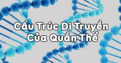 Bài 16: Cấu trúc di truyền của quần thể