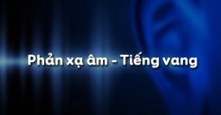 Bài 14: Phản xạ âm - Tiếng vang