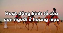 Bài 20: Hoạt động kinh tế của con người ở hoang mạc