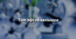 Bài 52: Tinh bột và xenlulozơ