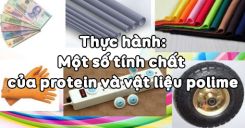 Bài 16: Thực hành Một số tính chất của protein và vật liệu polime