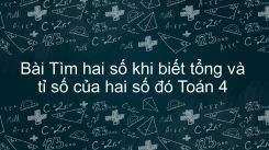 Tìm hai số khi biết tổng và tỉ số của hai số đó