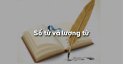 Soạn bài Số từ và lượng từ - Ngữ văn 6