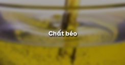 Bài 47: Chất béo