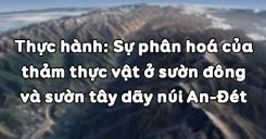 Bài 46: Thực hành Sự phân hoá của thảm thực vật ở sườn đông và sườn tây dãy núi An-Đét