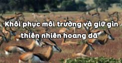 Bài 59: Khôi phục môi trường và giữ gìn thiên nhiên hoang dã