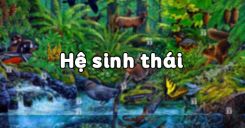 Bài 50: Hệ sinh thái