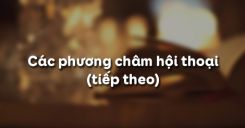 Các phương châm hội thoại (tiết 3)