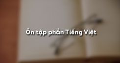 Ôn tập phần Tiếng Việt