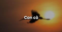 Con cò - Chế Lan Viên