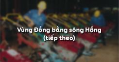 Bài 21: Vùng Đồng bằng sông Hồng (tiếp theo)