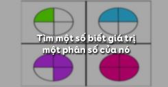 Bài 15: Tìm một số biết giá trị một phân số của nó