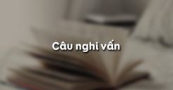 Câu nghi vấn
