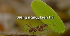 Bài 2: Siêng năng, Kiên trì