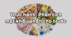 Bài 37: Thực hành Phân tích một khẩu phần cho trước